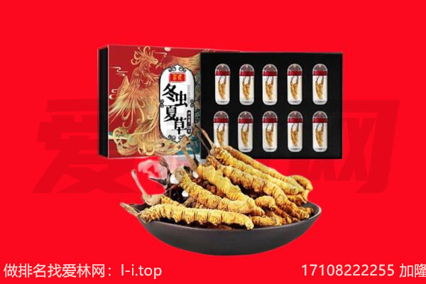 上林县回收虫草.jpg
